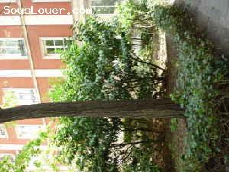 40m2- Cimetière de Montmartre