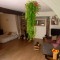 Appartement au cœur de st germain en laye