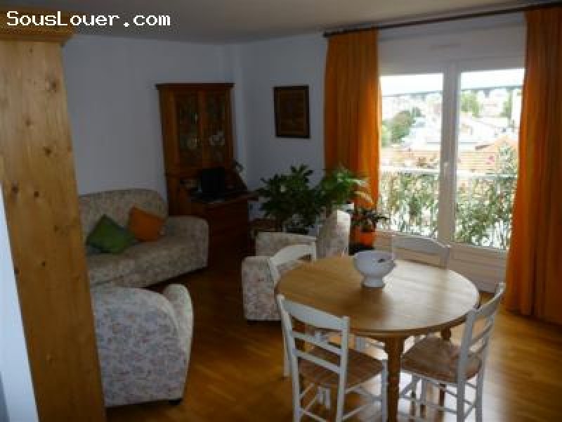 Beau deux pièce 50m2 lumineux - Paris  (St Denis)