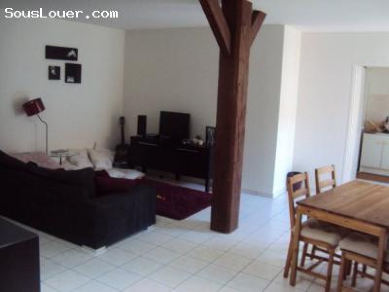 Bel et spacieux appartement
