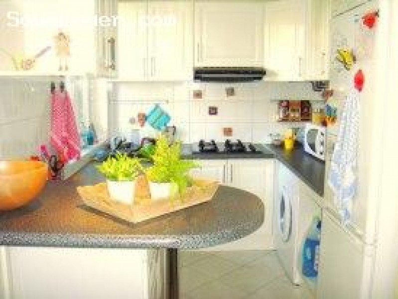 Chambre dans grand appartement
