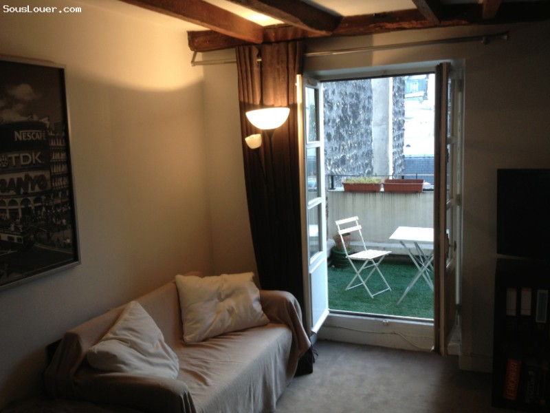 Grand Studio Terrasse 2e semaine de Juillet Paris Ternes