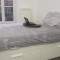 Grande chambre dans colocation Montreuil
