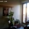 location P2 quartier teinturiers Avignon