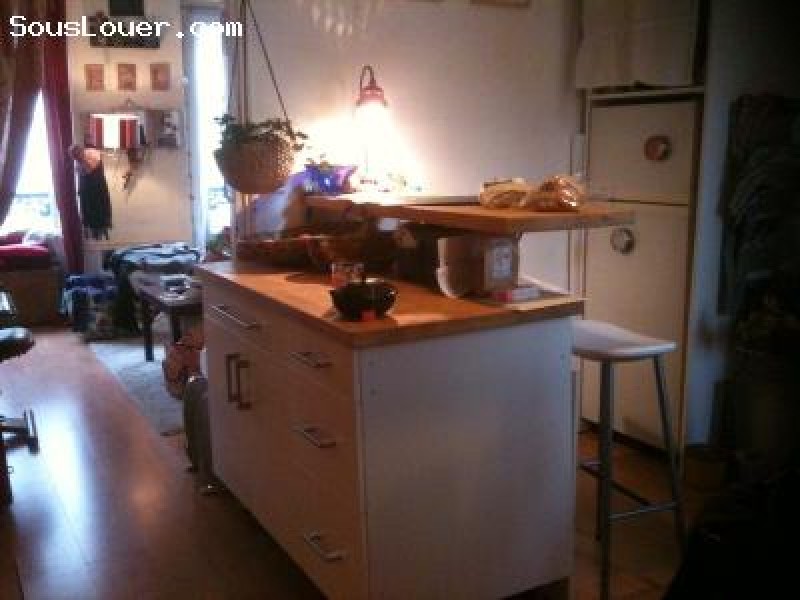 loue appartement parisien été