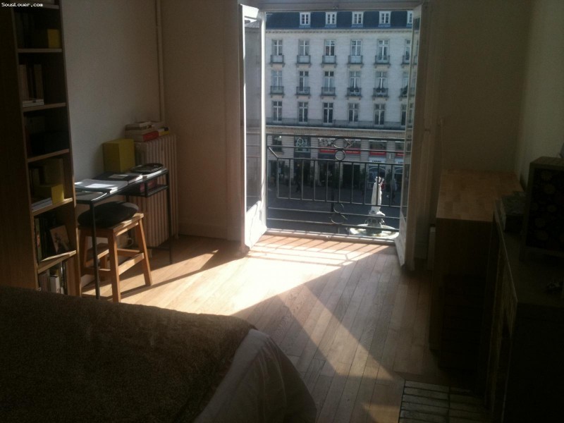 Nantes, super chambre dans super appart, plein centre