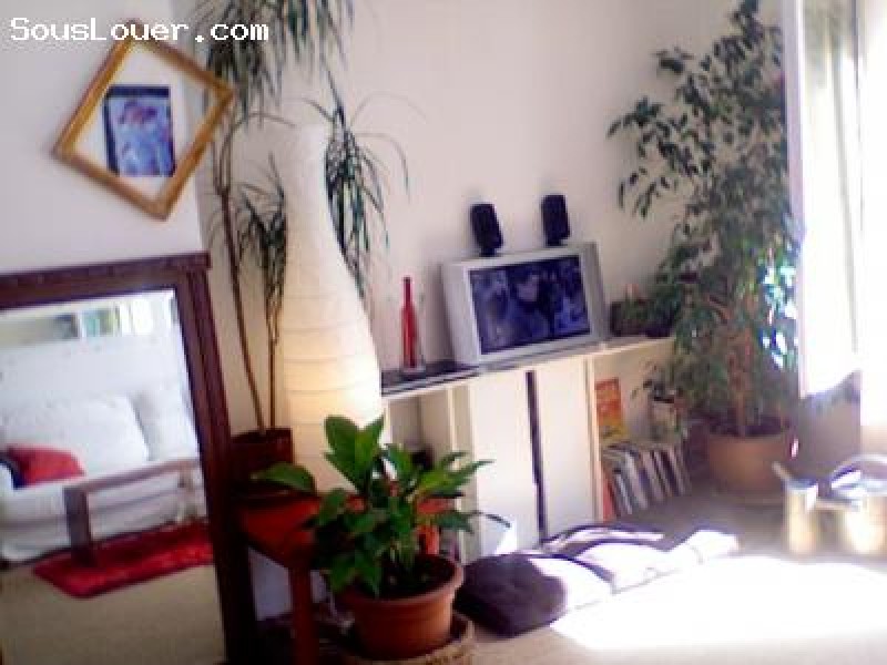 Paris 1ER . Grand 2 pieces 60M2.