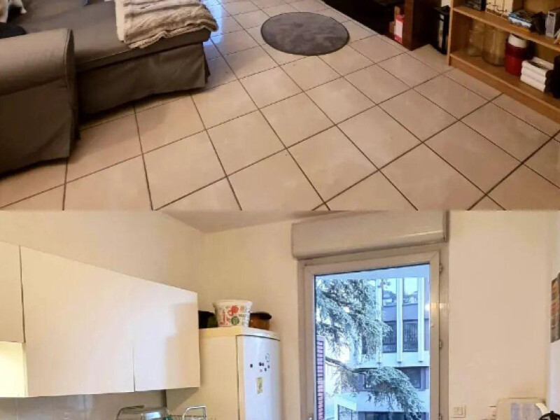 Sous-location avec chat à Villefranche sur Saône