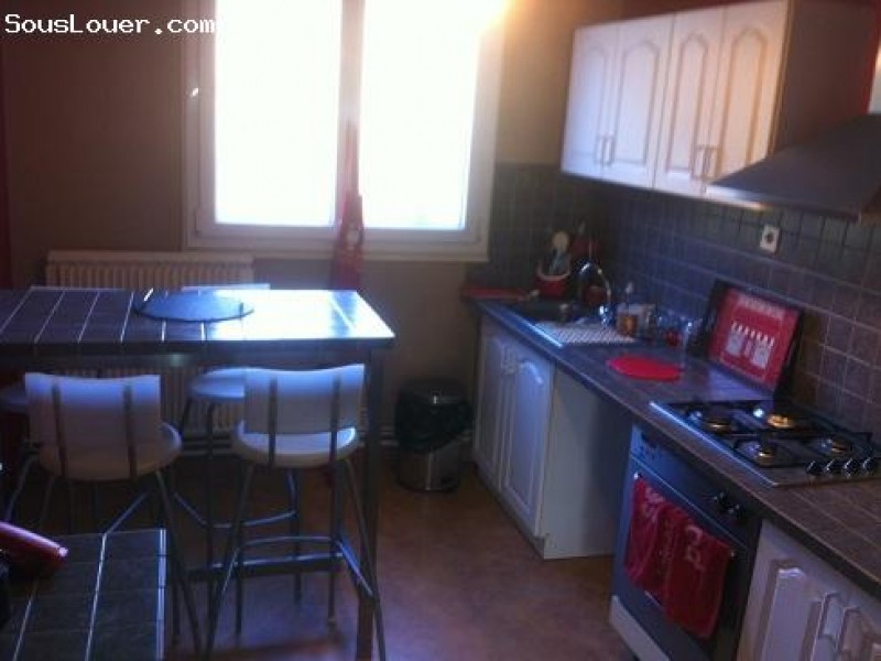 sous-location BOIS D'ARCY 2 pièces, 42m² - 730 euros - de mars à octobre