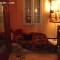 sous-location chambre coloc Figuerolles