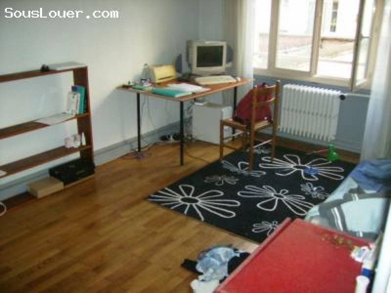 Sous location chambre dans appart' Lyon 7e