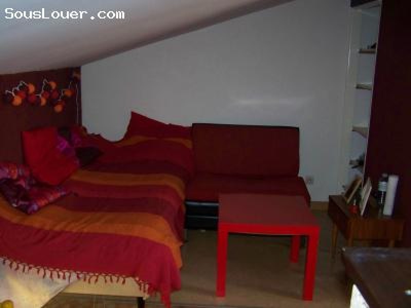 sous-location d'été bel appartement à bordeaux