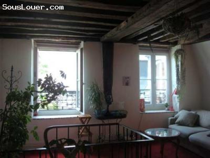 sous location triplex 50m2 dans le marais paris