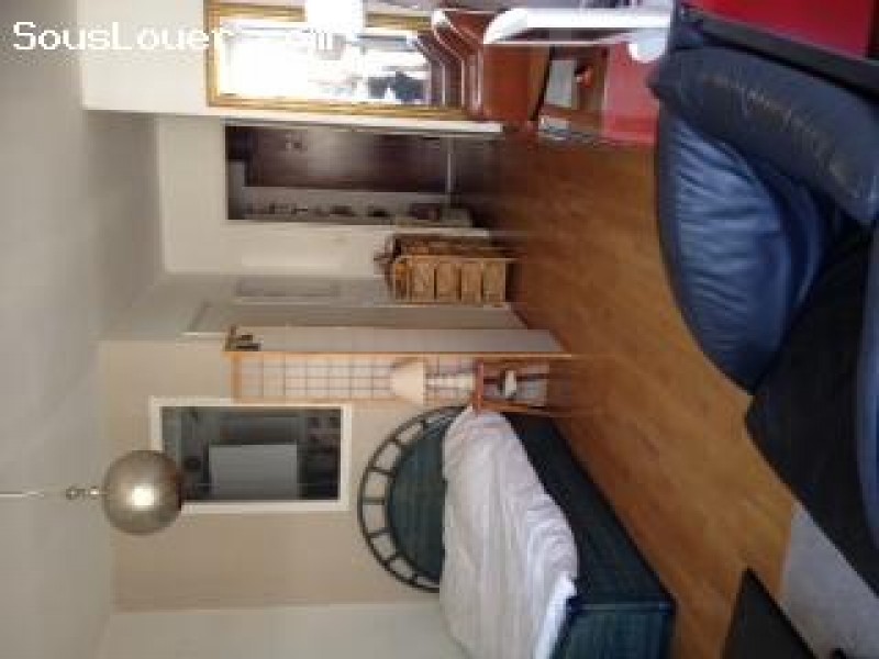 Studio 30m2 Paris 20e arrondissement du 18/06 au 2/07: 700 euros