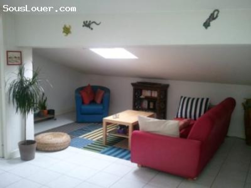 T2 en plein centre de Toulouse