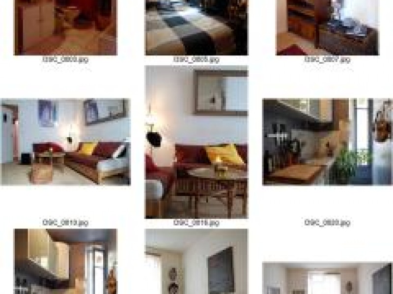 tres beau 2 pieces 43 M2 Buttes chaumont