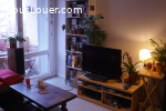 Chambre Patte d'Oie