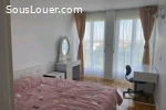 Colocation appartement T2 paris 15e