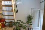 Studio mezzanine Frossay 5 mois